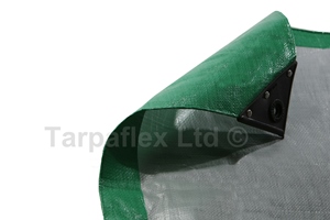 Waterproof Tarpaulin Medium Heavy Weight 170gsm Ground Sheet Green Clear Tarps